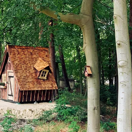 Residenz Waldoase Heringsdorf (Usedom)